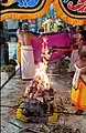 Vedic sacrifice called Homam in the Temple