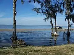 A view of Yalaha on Lake Harris