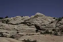 Top of Yant Flat trail: spectacular cross-bedding in fossil sand dunes in the Navajo sandstone