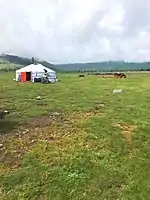 Yurt locals