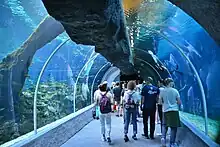 Underwater tunel