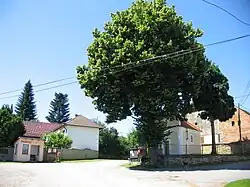 Centre of Zahorčice