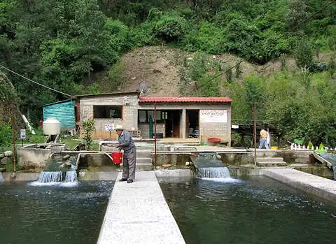 An economically sustainable, community-owned fish farm, located near Ixtlan.