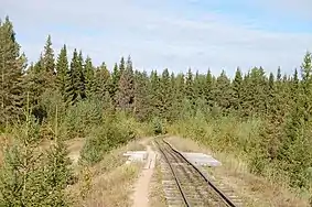 Zelennikovskaya forestry railway