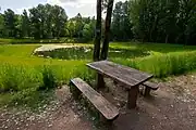 Park Tysiąclecia, Milowice, Sosnowiec