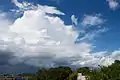 Cumulonimbus capillatus