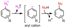 Aromatyczna substytucja nukleofilowa z wytworzeniem formy kationowej