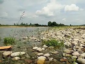 Brzeg Dunajca w Piaskach-Drużków