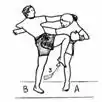 kopnięcie półokrężne (ang. long-range knee-kick)