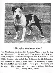 Pierwszy champion w historii - Gentleman Jim