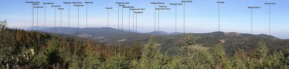 Panorama widokowa z okolic Wielkiego Gibasów Gronia na główny grzbiet. Kocierz wśród opisanych szczytów