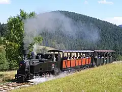 Pociąg z parowozem Gontkulák