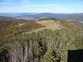 Polana Świnkówka i Gorc Kamienicki