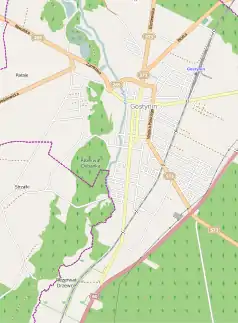 Mapa konturowa Gostynina, u góry po prawej znajduje się punkt z opisem „Gostynin”