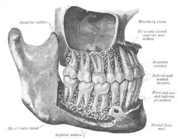 Ilustracja