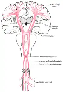 ilustracja