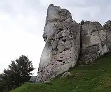 Knur od południowego zachodu