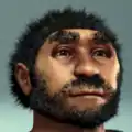 Homo erectus