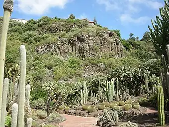 Jardín de Suculentas