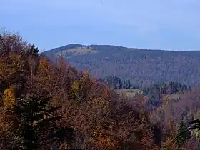 Kiczora widziana z pasma Lubania