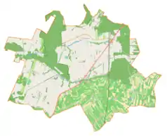 Mapa konturowa gminy Kowiesy, u góry znajduje się punkt z opisem „Borszyce”