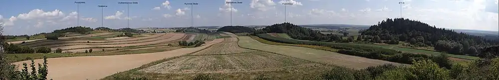 Panorama widokowa ze skały Krzywość