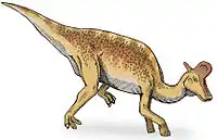 Lambeozaur