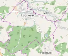 Mapa konturowa Lubomierza, blisko górnej krawiędzi nieco na lewo znajduje się punkt z opisem „Lubomierz”