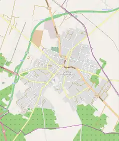 Mapa konturowa Ostrowi Mazowieckiej, blisko centrum po lewej na dole znajduje się punkt z opisem „Muzeum Dom Rodziny Pileckich”