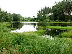 Park Krajobrazowy Cysterskie Kompozycje Krajobrazowe (woj. śląskie)