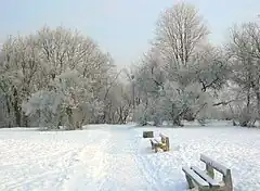 Aleja prowadząca do schodów