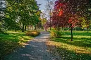 Park Milowice Baczyńskiego