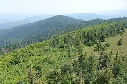 Widok na Pasterski Wierch z wieży widokowej na Lubaniu