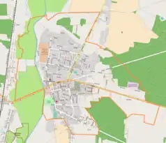 Mapa konturowa Poddębic, blisko górnej krawiędzi nieco na lewo znajduje się punkt z opisem „Bliźnia”