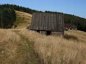 Jeden z kilku ocalałych szałasów