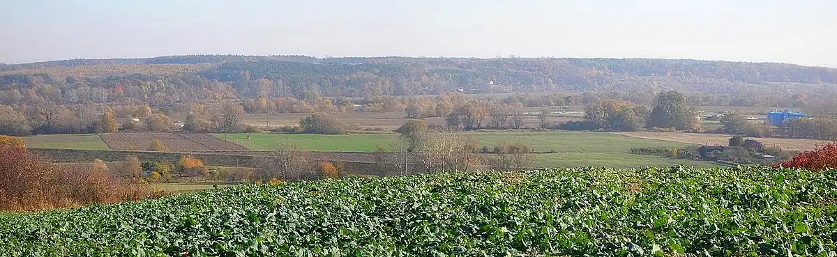 Najwęższy fragment Doliny Fordońskiej w rejonie Jarużyna (Fordoński Przełom Wisły)