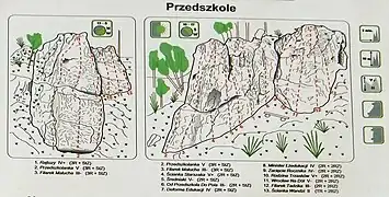 Skałoplany