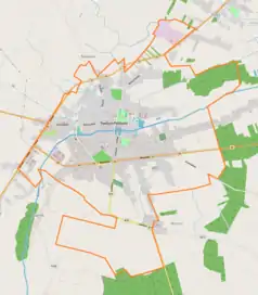 Mapa konturowa Radzynia Podlaskiego, w centrum znajduje się ikonka pałacu z opisem „Pałac Potockich w Radzyniu Podlaskim”