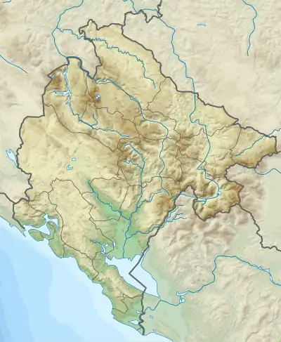 Mapa konturowa Czarnogóry, blisko lewej krawiędzi znajduje się punkt z opisem „źródło”