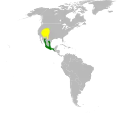 Mapa występowania