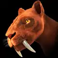 Smilodon (tygrys szablastozębny)