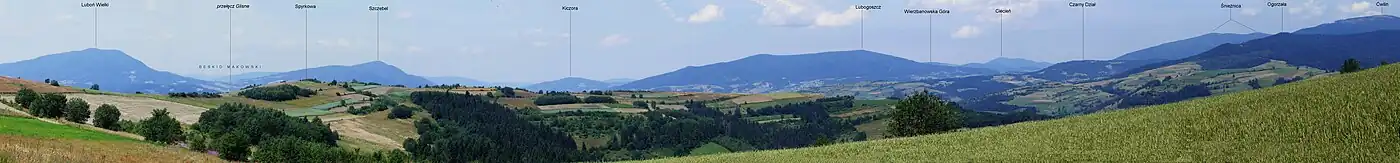 Panorama Beskidu Wyspowego z grzbietu Spyrkowa-Witów