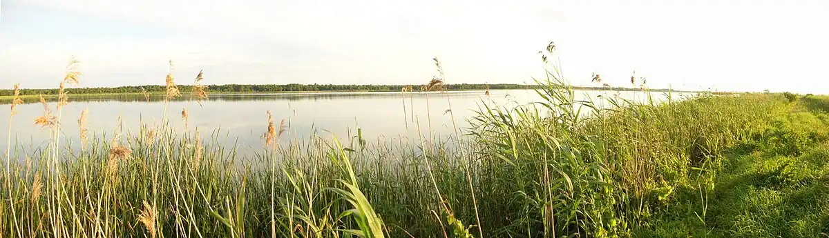 Panorama Stawu Kardynalskiego