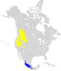 Mapa występowania