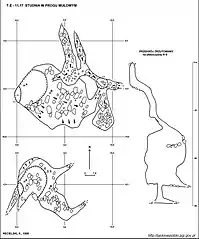 Plan jaskini