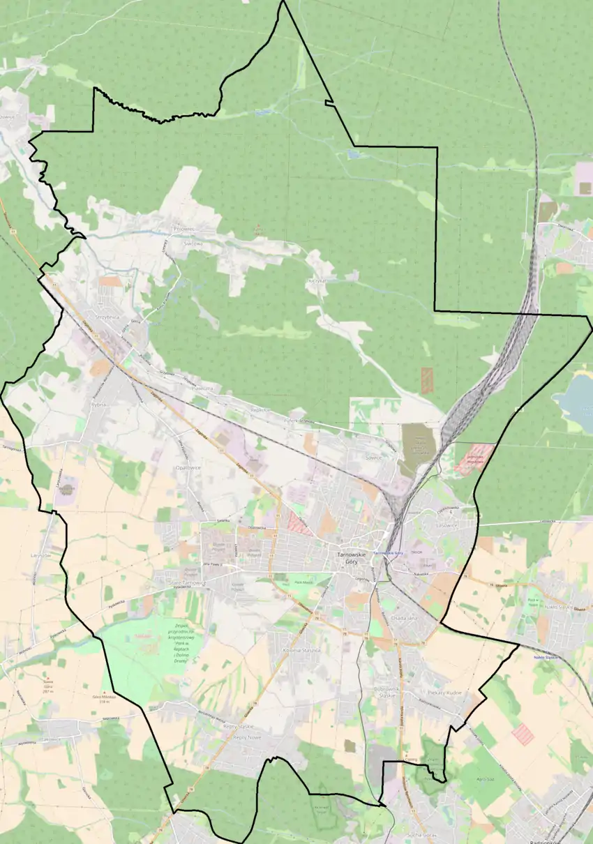 Mapa konturowa Tarnowskich Gór, po lewej znajduje się punkt z opisem „Pałac w Rybnej”