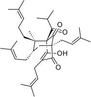 Tetrahydrohiperforyna