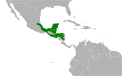 Mapa występowania