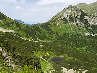 Tomanowe Stawki i Tomanowa Przełęcz