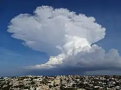 Cumulonimbus capillatus incus